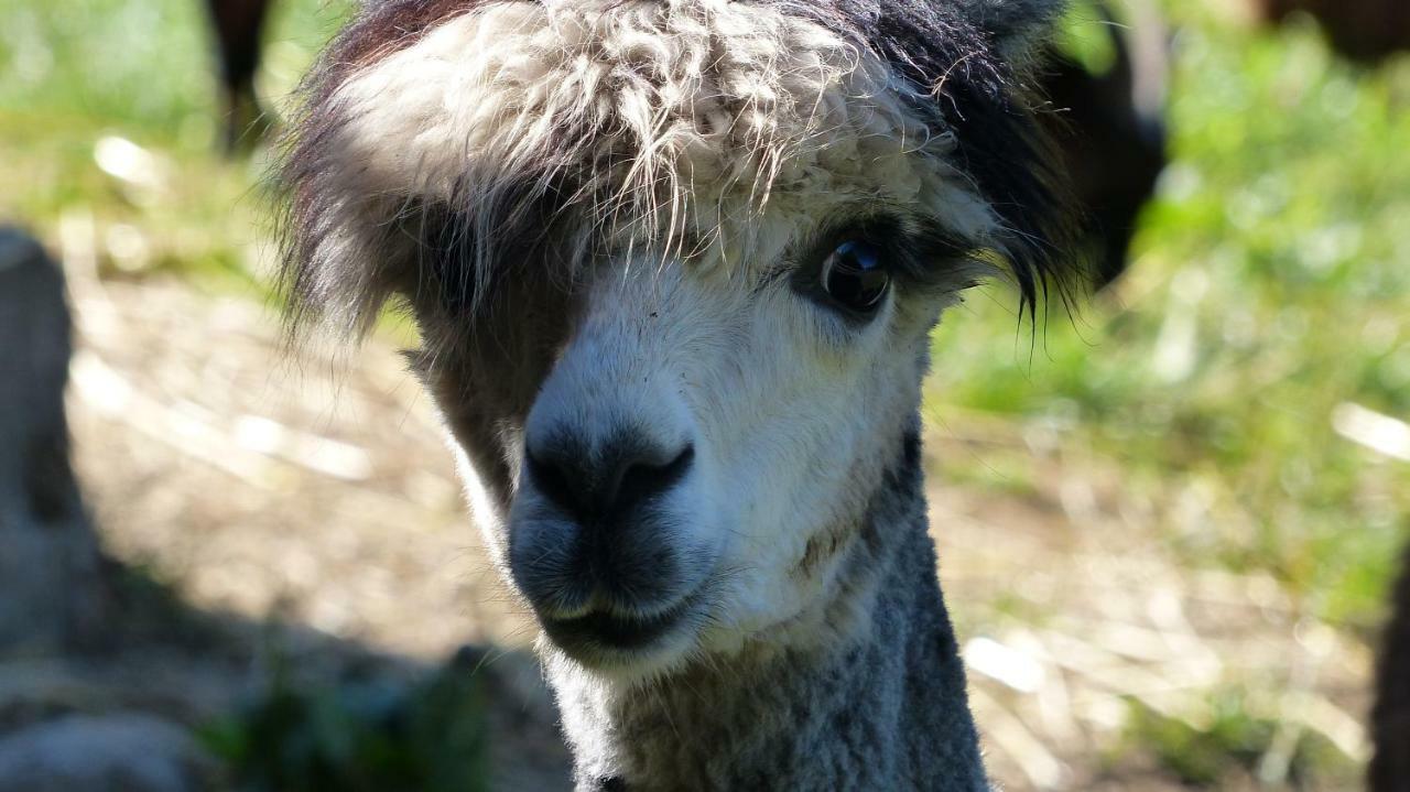 Le Paradis Des Animaux Coublevie Eksteriør bilde