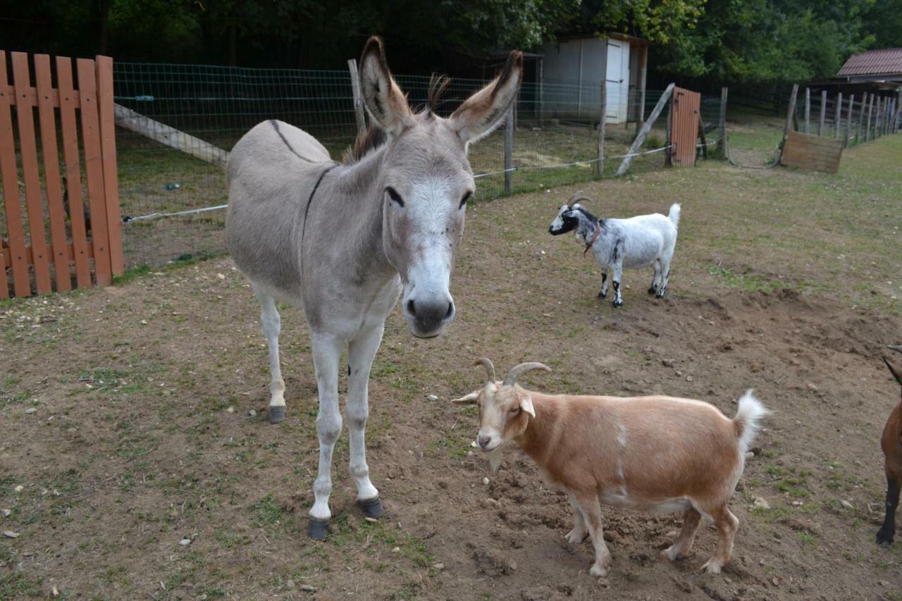 Le Paradis Des Animaux Coublevie Eksteriør bilde