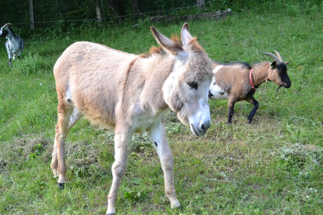 Le Paradis Des Animaux Coublevie Eksteriør bilde